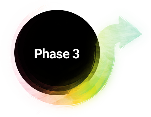 Phase 3